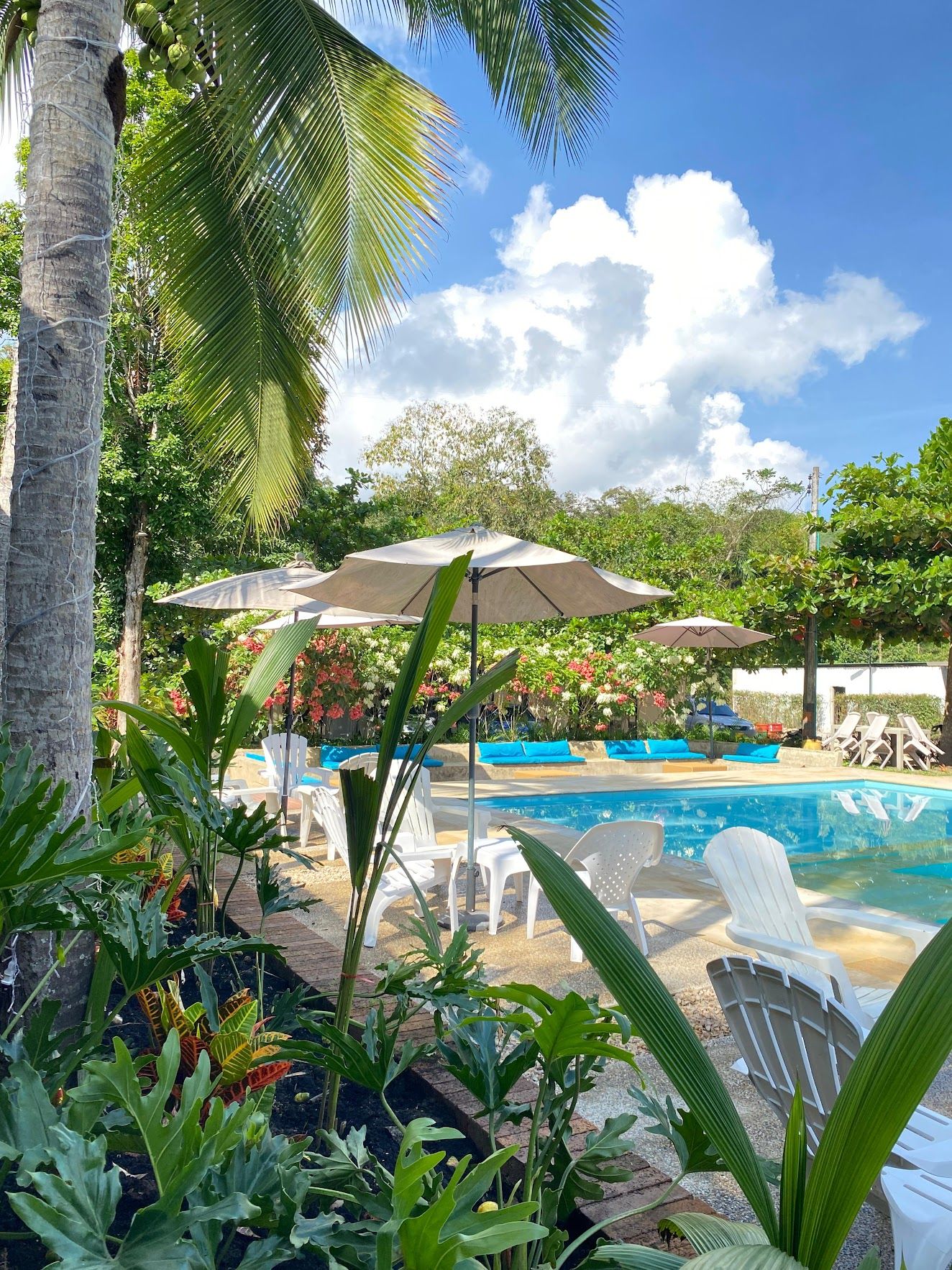 Hotel Boutique Rosse – La Vega